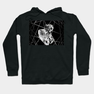 Zeus Hoodie